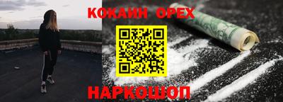 стаф Кингисепп