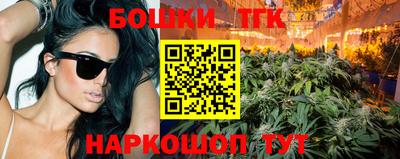 стаф Кингисепп