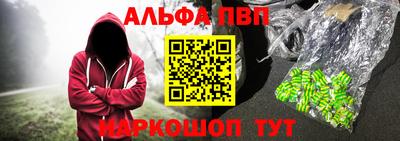 стаф Кингисепп