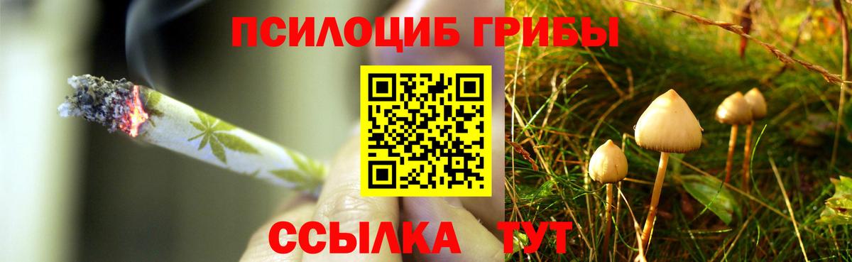 Йошкар-Ола  Псилоцибиновые грибы Psilocybine cubensis  Псилоцибиновые грибы ЛСД  Вход с VPN 