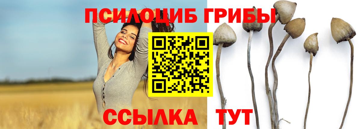 Галлюциногенные грибы мицелий Йошкар-Ола